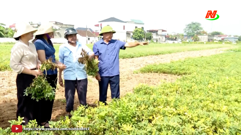 Hợp t&aacute;c x&atilde; n&ocirc;ng nghiệp Đ&ocirc;ng Th&ocirc;n - Điển h&igrave;nh trong phong tr&agrave;o thi đua y&ecirc;u nước