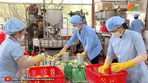 Tăng cường hỗ trợ hoạt động xuất khẩu