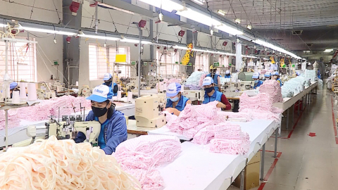 Kinh tế Việt Nam c&oacute; nhiều t&iacute;n hiệu t&iacute;ch cực