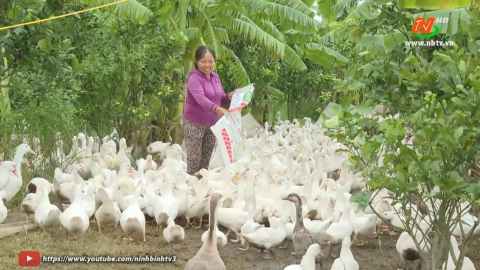 L&agrave;m gi&agrave;u từ m&ocirc; h&igrave;nh trang trại tổng hợp
