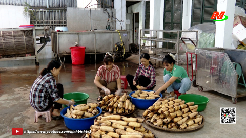 Ninh Giang n&acirc;ng cao thu nh&acirc;̣p cho người d&acirc;n sau sáp nh&acirc;̣p