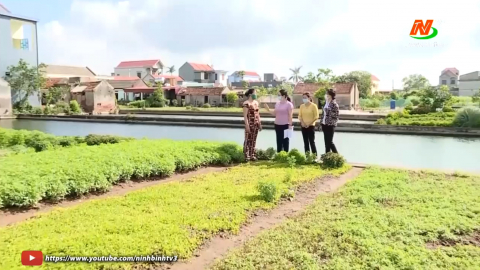Phụ nữ Ninh B&igrave;nh t&iacute;ch cực tham gia x&acirc;y dựng n&ocirc;ng th&ocirc;n mới