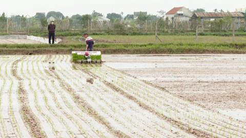 N&ocirc;ng d&acirc;n Y&ecirc;n Kh&aacute;nh thi đua lập th&agrave;nh t&iacute;ch ch&agrave;o mừng 30 năm t&aacute;i lập Tỉnh
