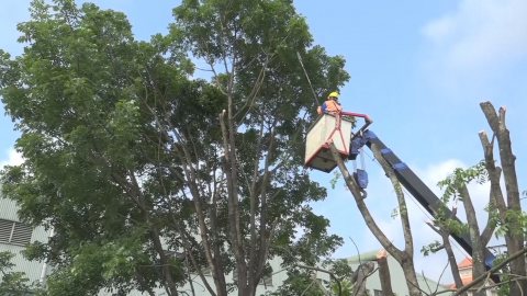 Bảo vệ h&agrave;nh lang an to&agrave;n lưới điện cao &aacute;p