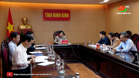 Hội nghị giao ban trực tuyến tiến độ thực hiện c&aacute;c Dự &aacute;n đường d&acirc;y 500kV mạch 3 