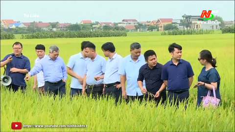 Y&ecirc;n Kh&aacute;nh triển khai kế hoạch sản xuất vụ đ&ocirc;ng năm 2023.