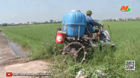 Kh&oacute; khăn trong sản xuất n&ocirc;ng nghiệp hữu cơ