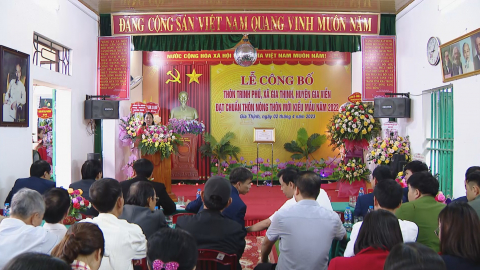Th&ocirc;n Trinh Ph&uacute; đạt chuẩn n&ocirc;ng th&ocirc;n mới kiểu mẫu