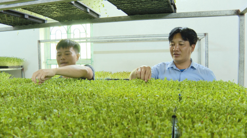 Y&ecirc;n M&ocirc;: Tạo điều kiện về vốn để người d&acirc;n ph&aacute;t triển kinh tế