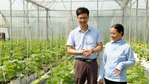 Y&ecirc;n Sơn thực hiện ti&ecirc;u ch&iacute; thu nhập trong x&acirc;y dựng NTM n&acirc;ng cao