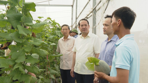 Khảo s&aacute;t m&ocirc; h&igrave;nh, điển h&igrave;nh " D&acirc;n vận kh&eacute;o "