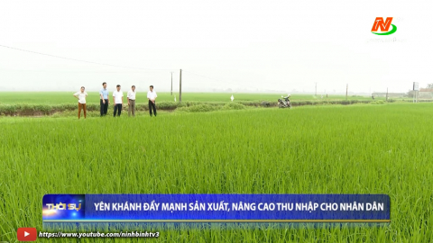 Y&ecirc;n Kh&aacute;nh đẩy mạnh sản xuất, n&acirc;ng cao thu nhập cho nh&acirc;n d&acirc;n