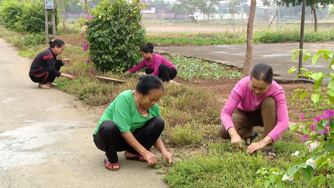 Chất lượng m&ocirc;i trường sống ở x&atilde; n&ocirc;ng th&ocirc;n mới kiểu mẫu
