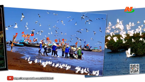 Nhịp sống th&agrave;nh Nam qua ống k&iacute;nh m&aacute;y ảnh