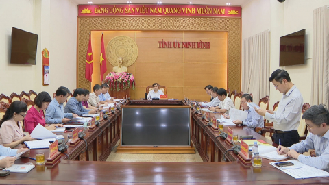 Hội nghị Ban Thường vụ Tỉnh ủy ng&agrave;y 01/11/2024
