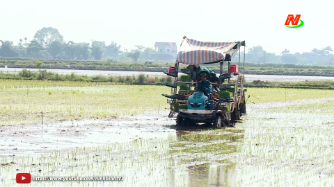 Mở rộng diện t&iacute;ch gieo mạ khay, cấy m&aacute;y