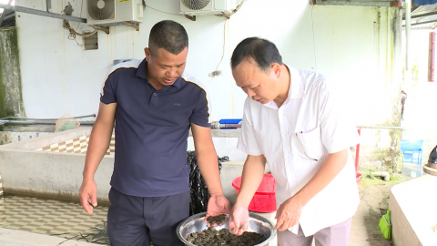 Ph&aacute;t triển nu&ocirc;i trồng thủy sản theo hướng c&ocirc;ng nghệ cao