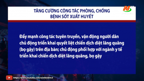 Tăng cường c&ocirc;ng t&aacute;c ph&ograve;ng, chống bệnh sốt xuất huyết