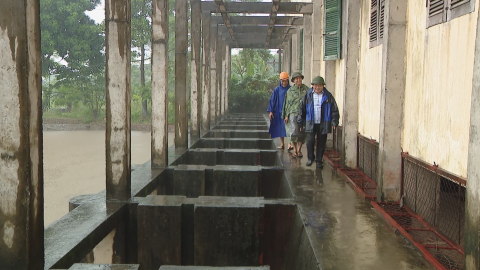 Y&ecirc;n Kh&aacute;nh chủ động đối ph&oacute; với &aacute;p thấp nhiệt đới