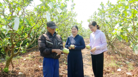 Kh&aacute;nh Thiện đa dạng c&aacute;c m&ocirc; h&igrave;nh sản xuất n&ocirc;ng nghiệp