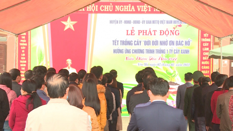 Y&ecirc;n M&ocirc; ph&aacute;t động Tết trồng c&acirc;y xu&acirc;n Nh&acirc;m Dần