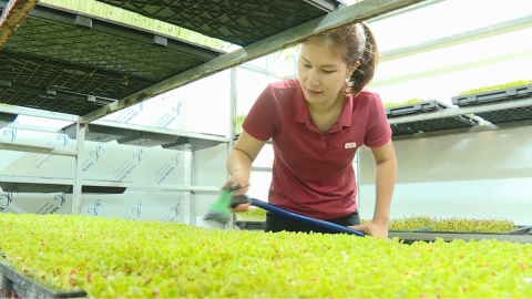 Hỗ trợ n&ocirc;ng d&acirc;n ph&aacute;t triển kinh tế, l&agrave;m gi&agrave;u ch&iacute;nh đ&aacute;ng