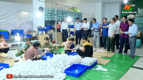 Kinh tế tập thể tiếp tục duy tr&igrave; v&agrave; ph&aacute;t triển
