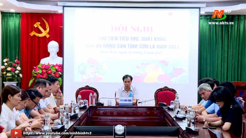 X&uacute;c tiến ti&ecirc;u thụ xo&agrave;i v&agrave; n&ocirc;ng sản Sơn La