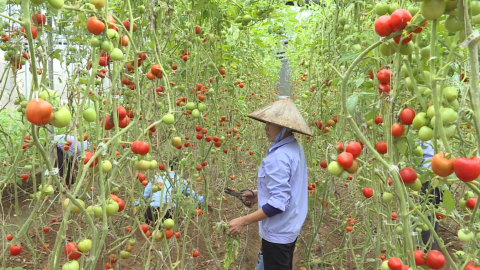 Ng&agrave;nh N&ocirc;ng nghiệp v&agrave; M&ocirc;i trường Ninh B&igrave;nh tập trung thực hiện Nghị quyết Đại hội Đảng
