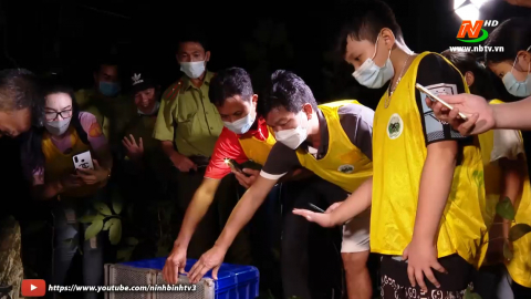 Ấm &aacute;p "Tour về nh&agrave;" m&ugrave;a Trung thu