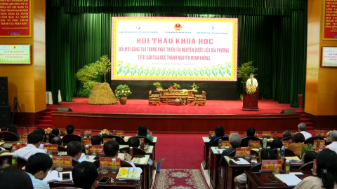 Đổi mới s&aacute;ng tạo trong ph&aacute;t triển t&agrave;i nguy&ecirc;n dược liệu địa phương