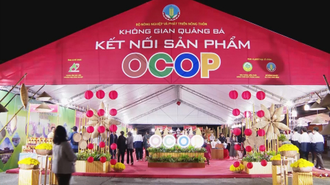 Ninh B&igrave;nh: Hơn 5,3 tỷ đồng thực hiện chương tr&igrave;nh OCOP