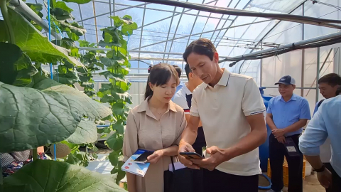 M&ocirc; h&igrave;nh n&ocirc;ng nghiệp c&ocirc;ng nghệ cao ở th&agrave;nh phố Asan ( H&agrave;n Quốc )