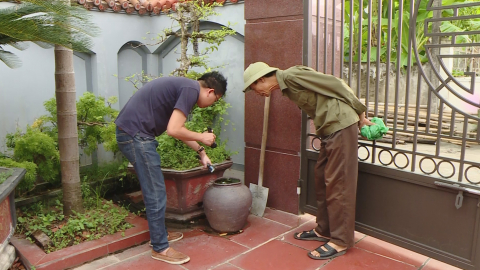 C&ograve;n nhiều người chủ quan với dịch sốt xuất huyết