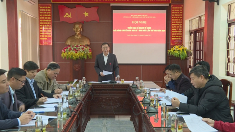Triển khai kế hoạch tổ chức Giải b&oacute;ng chuyền c&uacute;p Hoa Lư - B&igrave;nh Điền lần thứ XVIII năm 2024