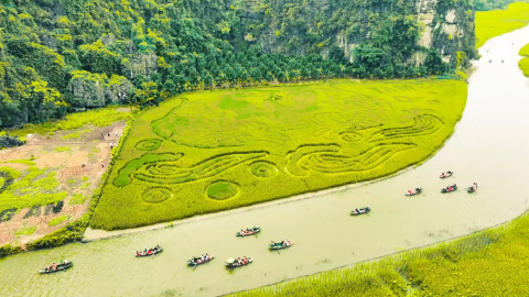 Tuần du lịch Ninh B&igrave;nh quảng b&aacute; văn ho&aacute; v&ugrave;ng đất Cố đ&ocirc;