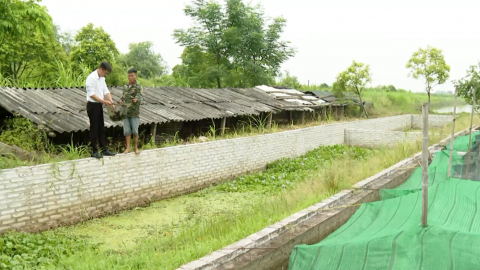 Y&ecirc;n Kh&aacute;nh hướng đến sản xuất n&ocirc;ng nghiệp bền vững