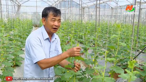 &Ocirc;ng Tống Viết Vinh - Gương n&ocirc;ng d&acirc;n điển h&igrave;nh trong học tập v&agrave; l&agrave;m theo B&aacute;c