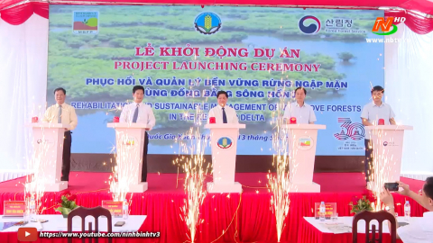 Dự &aacute;n phục hồi v&agrave; quản l&yacute; bền vững rừng ngập mặn v&ugrave;ng Đồng bằng s&ocirc;ng Hồng