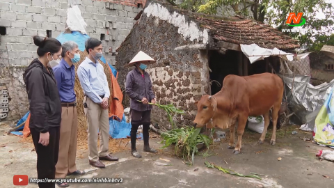 Nho quan n&acirc;ng cao đời sống cho b&agrave; con đồng b&agrave;o d&acirc;n tộc