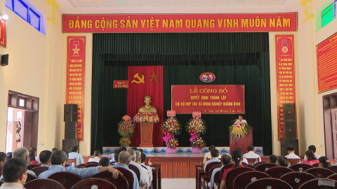 Thành l&acirc;̣p chi b&ocirc;̣ trực thu&ocirc;̣c Đảng ủy xã