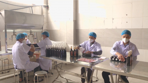 Hợp t&aacute;c x&atilde; ph&aacute;t triển c&aacute;c sản phẩm OCOP