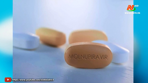 Bộ Y tế th&ocirc;ng tin hiệu quả của thuốc Molnupiravir 