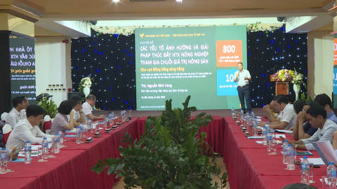 Hội thảo ph&aacute;t triển HTX n&ocirc;ng nghiệp tham gia chuỗi gi&aacute; trị n&ocirc;ng sản 