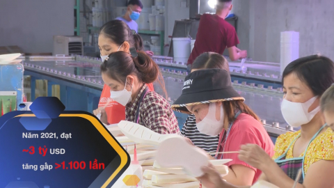 Th&agrave;nh tựu xuất khẩu qua 30 năm t&aacute;i lập Tỉnh