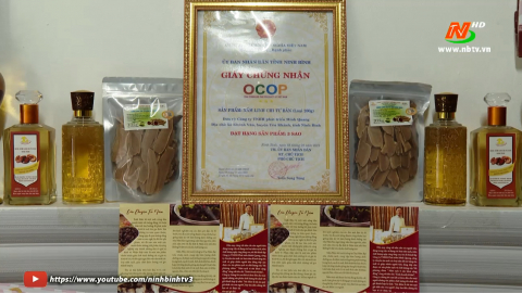 Tiềm năng ph&aacute;t triển sản phẩm OCOP ở Y&ecirc;n Kh&aacute;nh