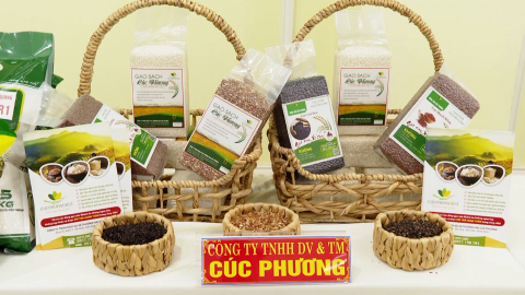 Sức lan tỏa từ chương tr&igrave;nh mỗi x&atilde; một sản phẩm