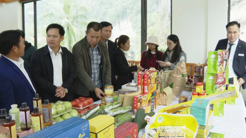 Nỗ lực đưa n&ocirc;ng sản sạch tới tay người ti&ecirc;u d&ugrave;ng