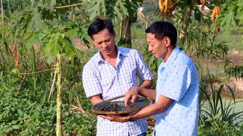 Đồng Th&aacute;i quyết t&acirc;m ho&agrave;n th&agrave;nh mục ti&ecirc;u ph&aacute;t triển n&ocirc;ng nghiệp