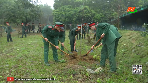 Bộ Chỉ huy qu&acirc;n sự tỉnh ph&aacute;t động Tết trồng c&acirc;y